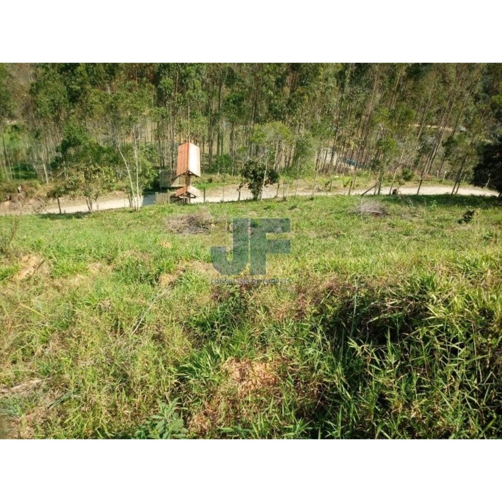 Sítio à venda com 2 quartos, 8000m² - Foto 1