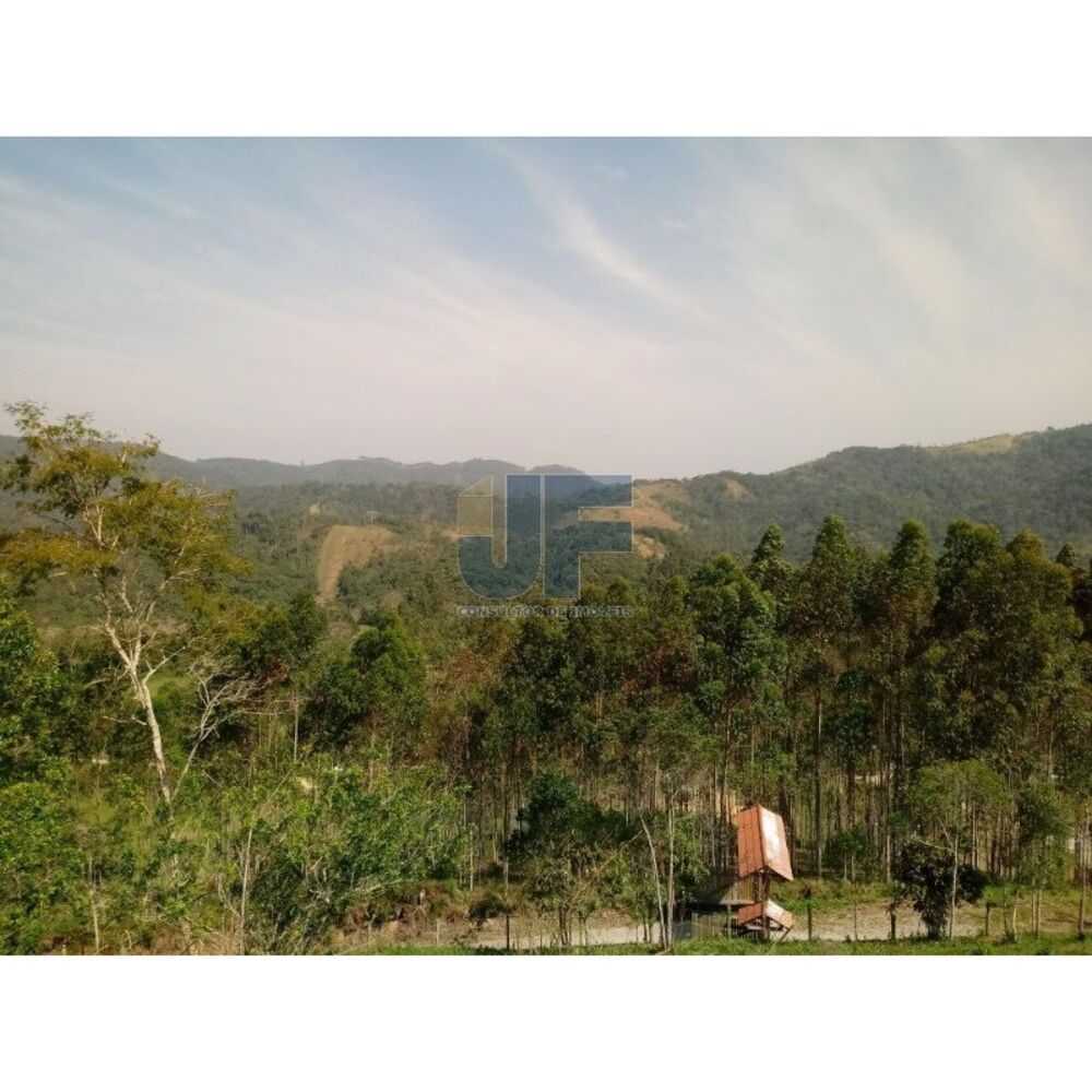 Sítio à venda com 2 quartos, 8000m² - Foto 12
