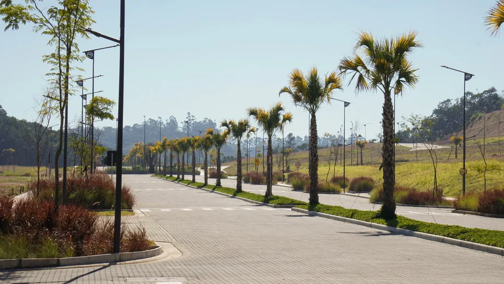 Terreno, 300 m² - Foto 3