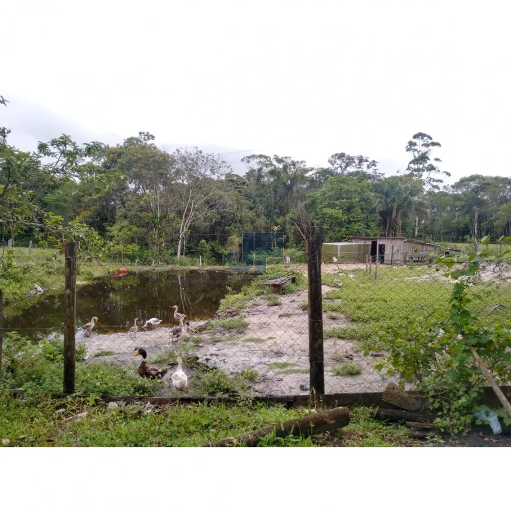 Fazenda, 62000 hectares - Foto 6
