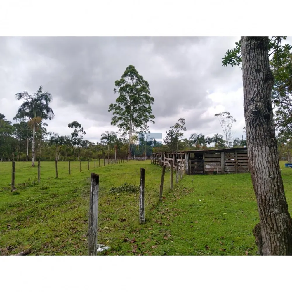 Fazenda, 62000 hectares - Foto 9