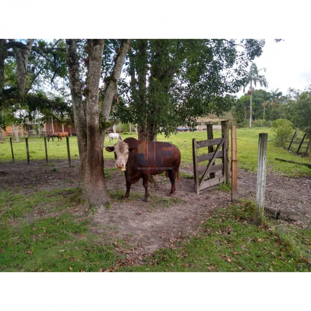 Fazenda, 62000 hectares - Foto 8