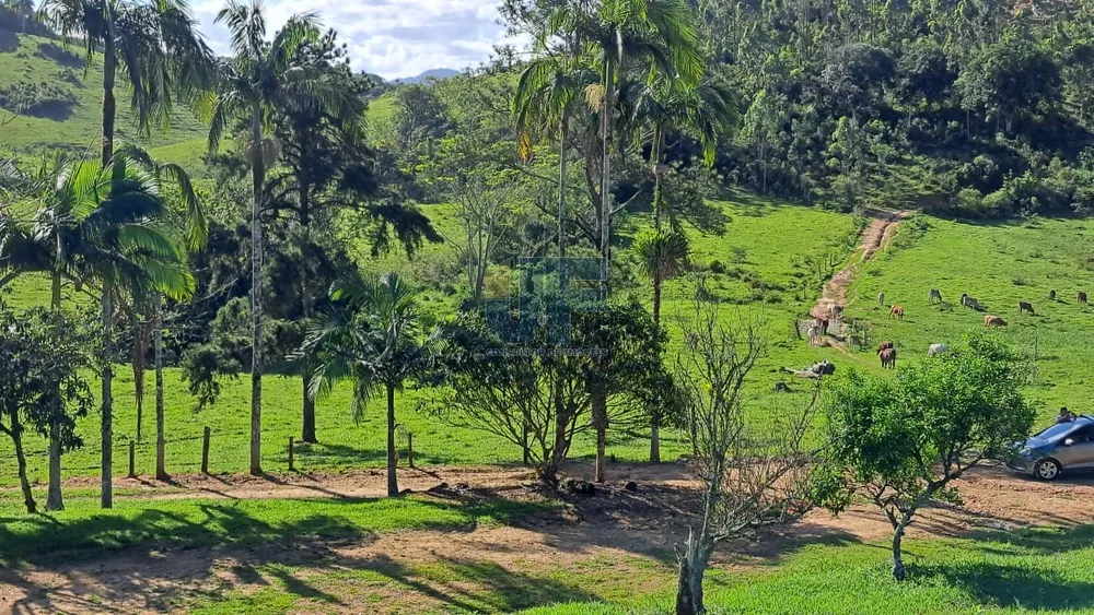 Sítio, 16 hectares - Foto 1