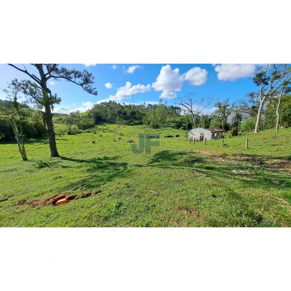 Sítio, 16 hectares - Foto 4