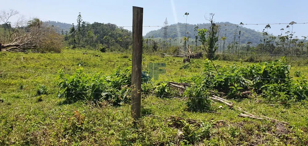Terreno, 19 hectares - Foto 2