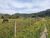 Terreno, 43 hectares - Foto 1