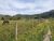 Terreno, 43 hectares - Foto 2