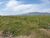 Terreno, 43 hectares - Foto 5
