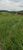 Fazenda, 9 hectares - Foto 10