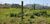 Terreno, 19 hectares - Foto 4