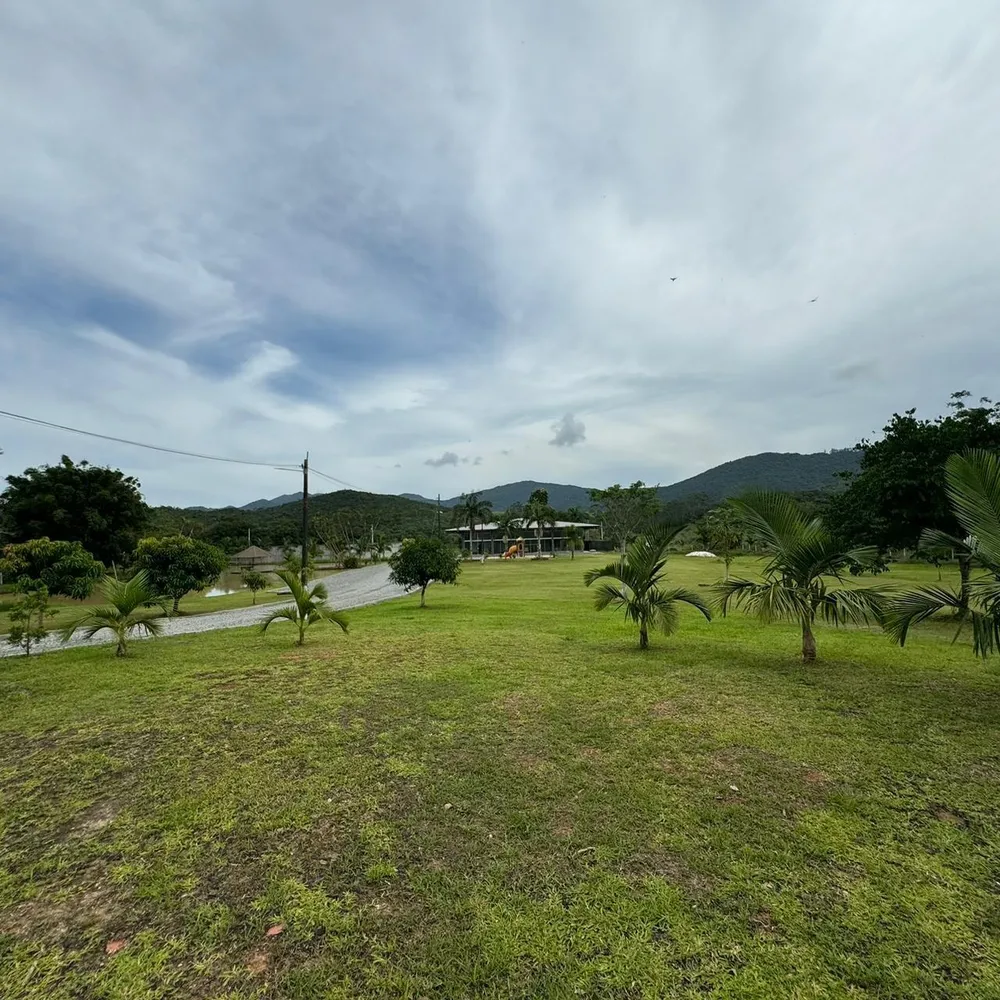 Sítio, 3 quartos, 2 hectares - Foto 6