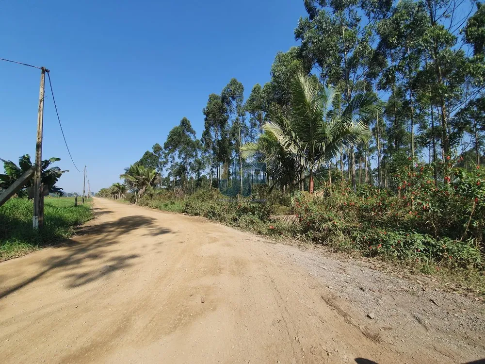 Terreno, 68 hectares - Foto 4