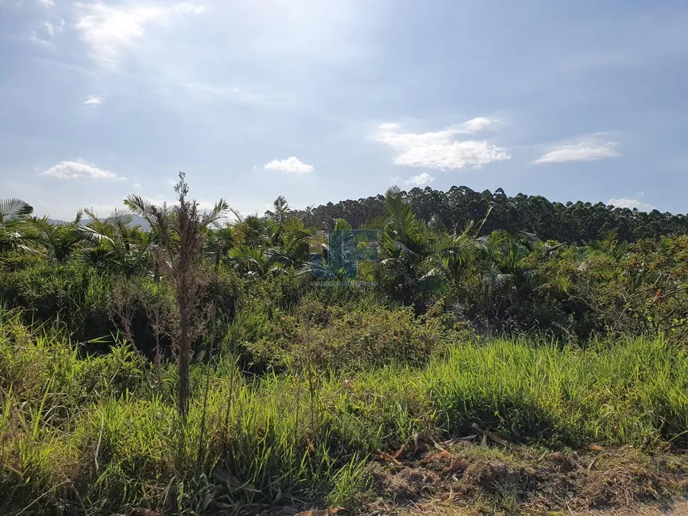 Terreno, 68 hectares - Foto 3