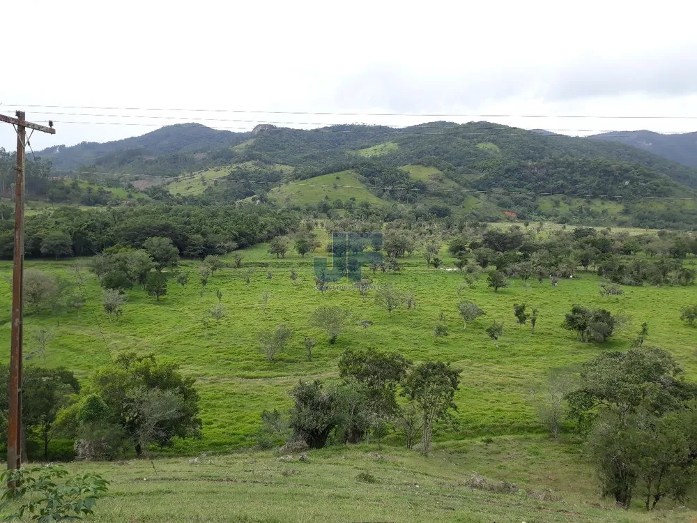 Terreno, 19 hectares - Foto 6