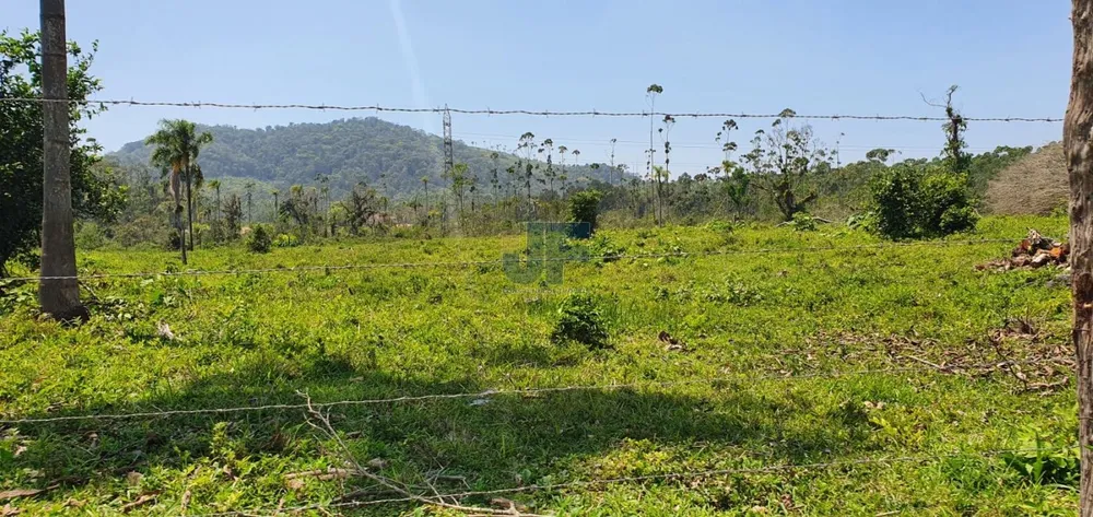 Terreno, 19 hectares - Foto 1