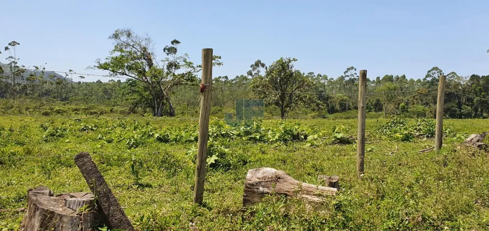 Terreno, 19 hectares - Foto 4
