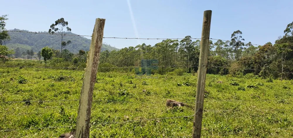 Terreno, 19 hectares - Foto 4
