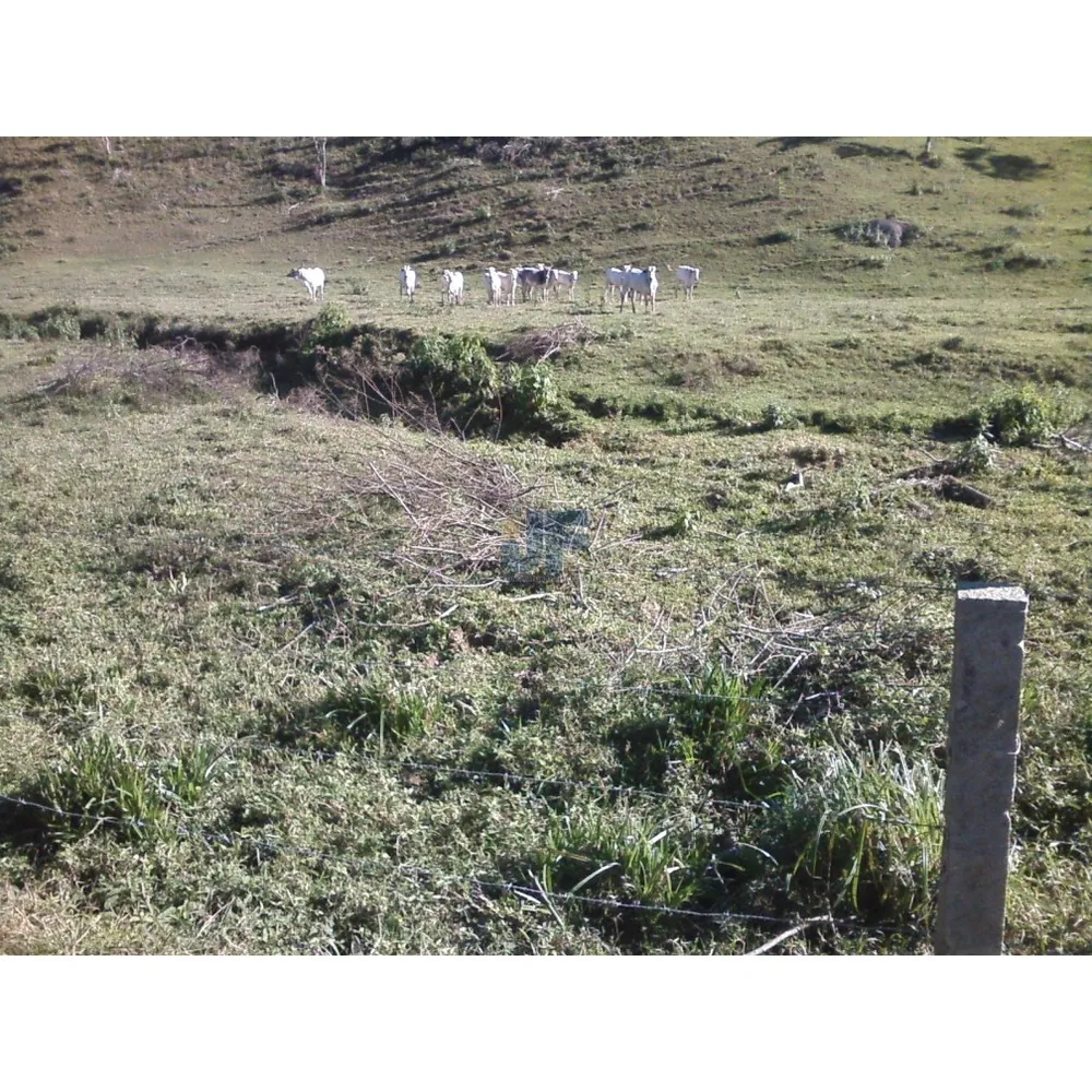 Terreno, 65 hectares - Foto 5