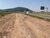 Terreno, 68 hectares - Foto 1