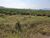 Terreno, 68 hectares - Foto 17