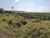 Terreno, 68 hectares - Foto 16