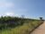 Terreno, 68 hectares - Foto 9