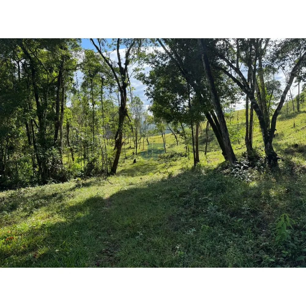 Sítio, 127 quartos, 24 hectares - Foto 6