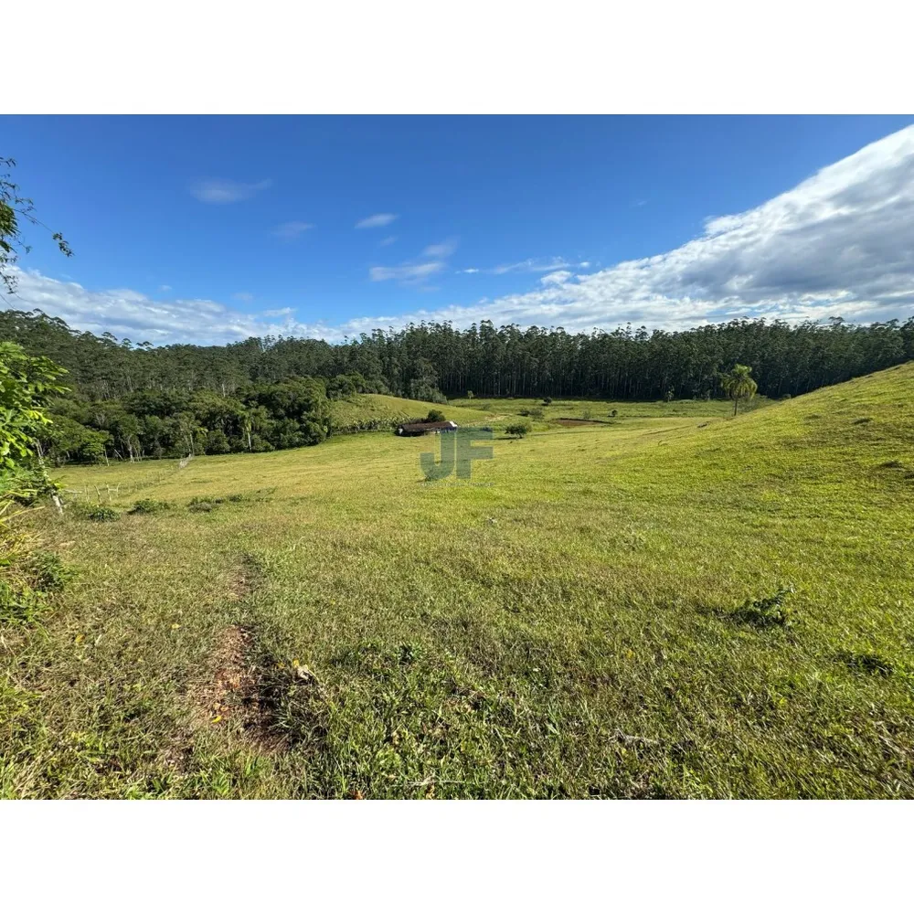 Sítio, 127 quartos, 24 hectares - Foto 4