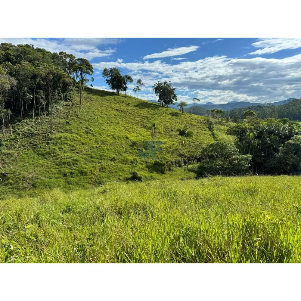 Sítio, 127 quartos, 24 hectares - Foto 3