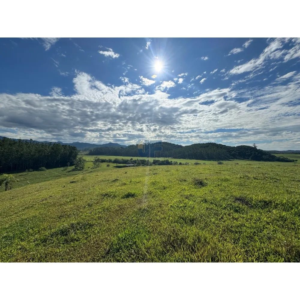 Sítio, 127 quartos, 24 hectares - Foto 1