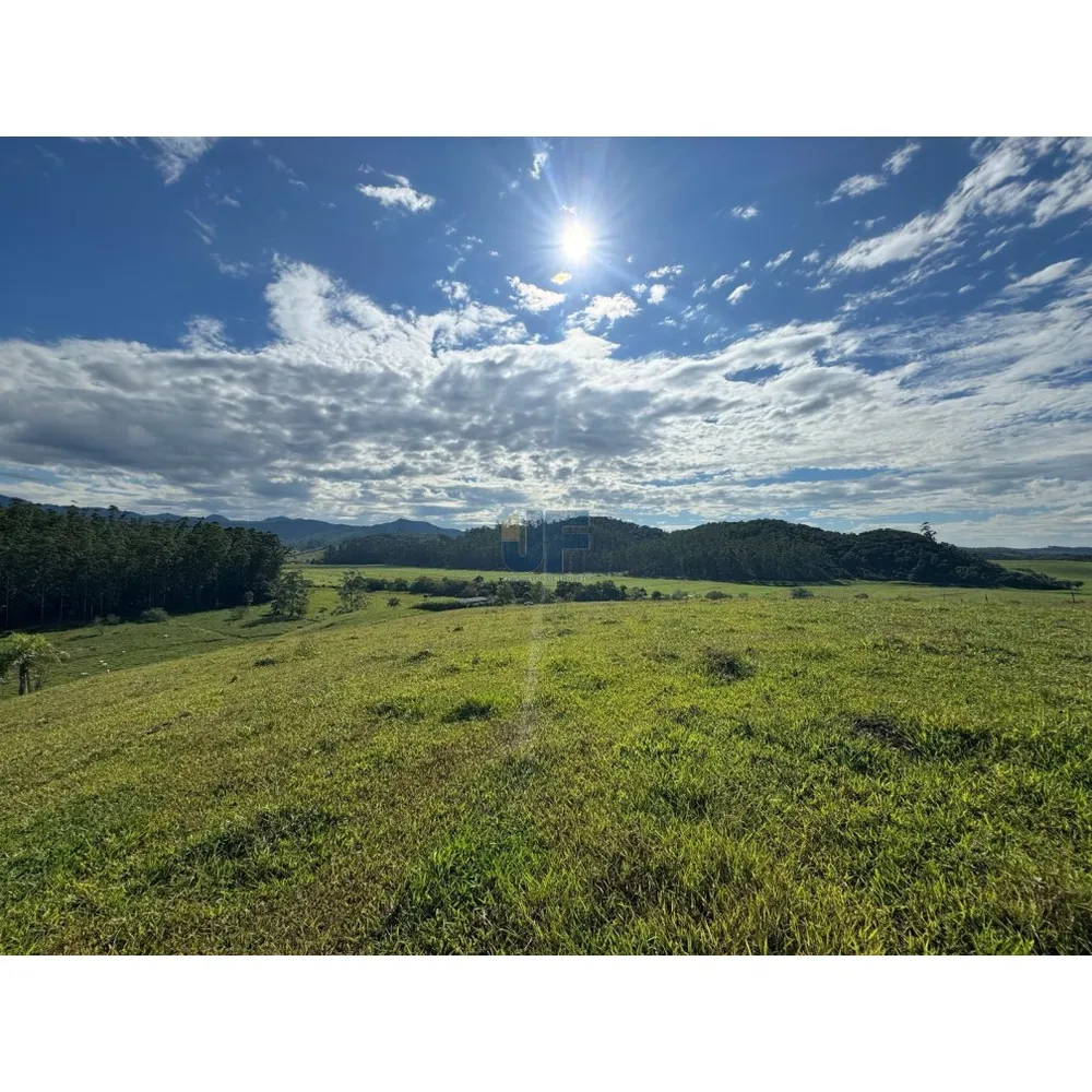Sítio, 127 quartos, 24 hectares - Foto 2