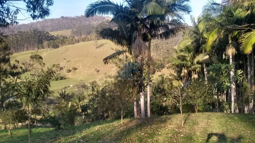 Sítio, 6 quartos, 3 hectares - Foto 1