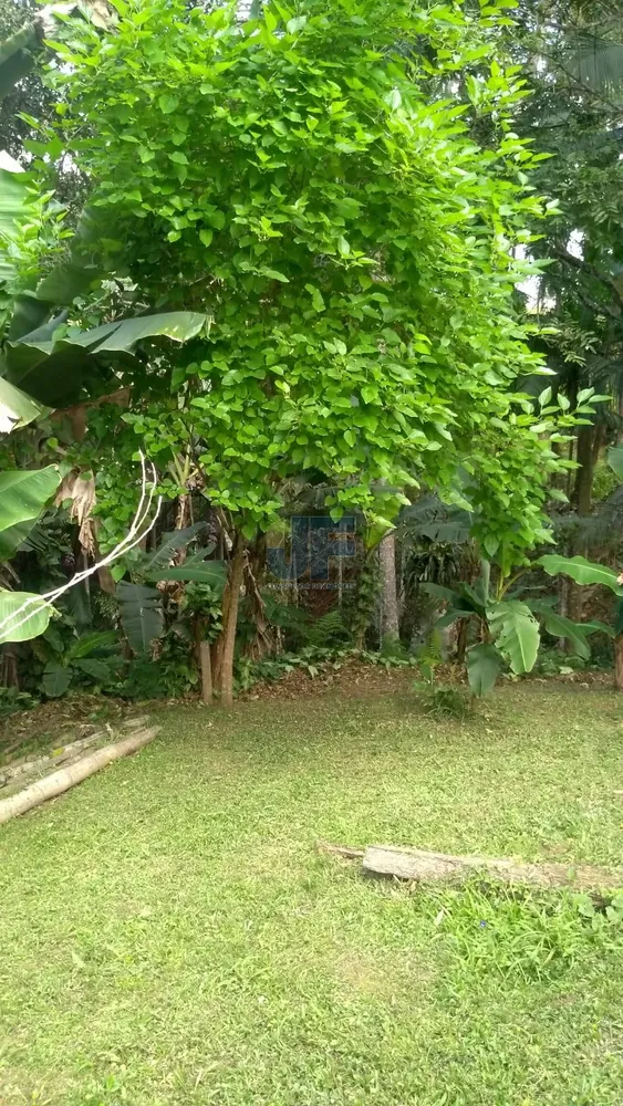 Sítio, 6 quartos, 3 hectares - Foto 10