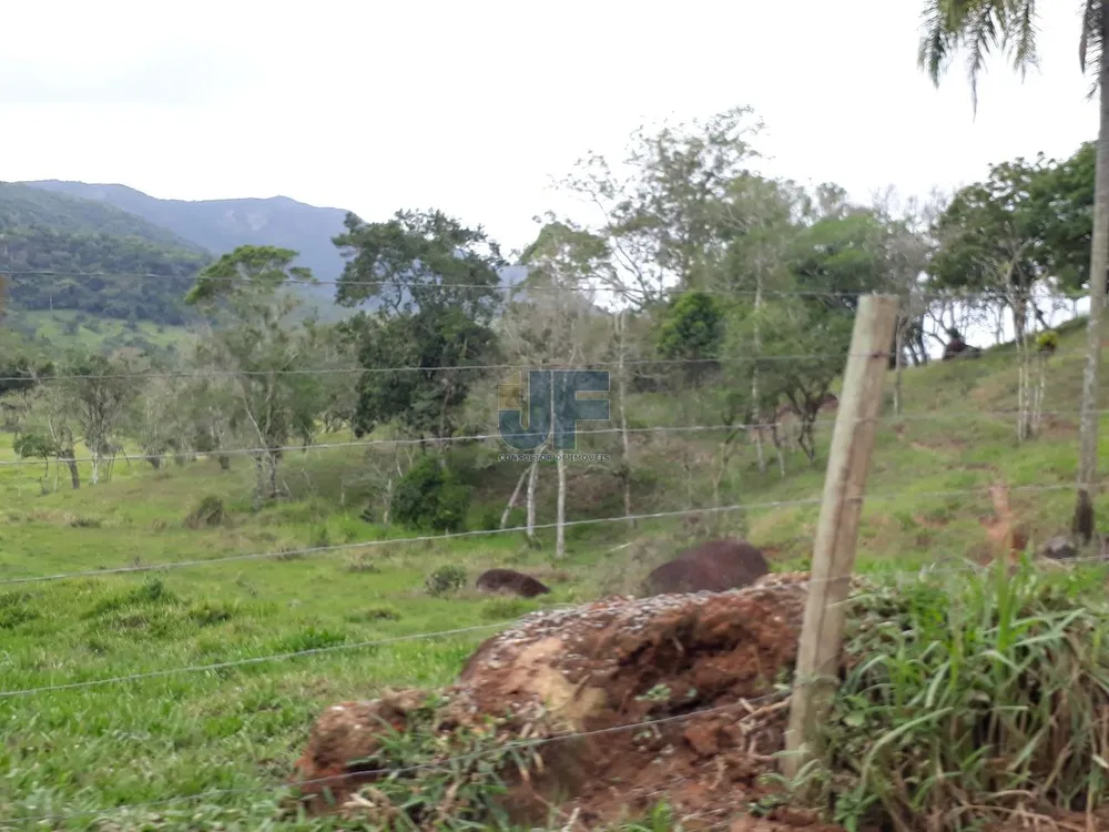 Fazenda, 53000 hectares - Foto 3