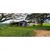 Fazenda, 64 hectares - Foto 2