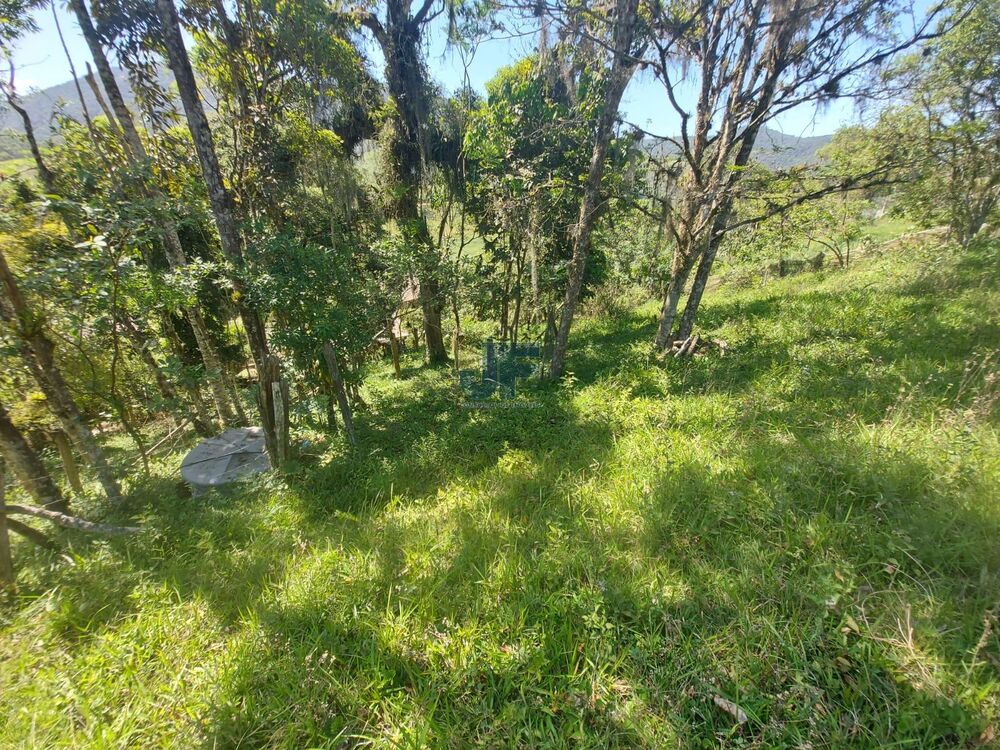 Sítio à venda com 3 quartos, 24185m² - Foto 5