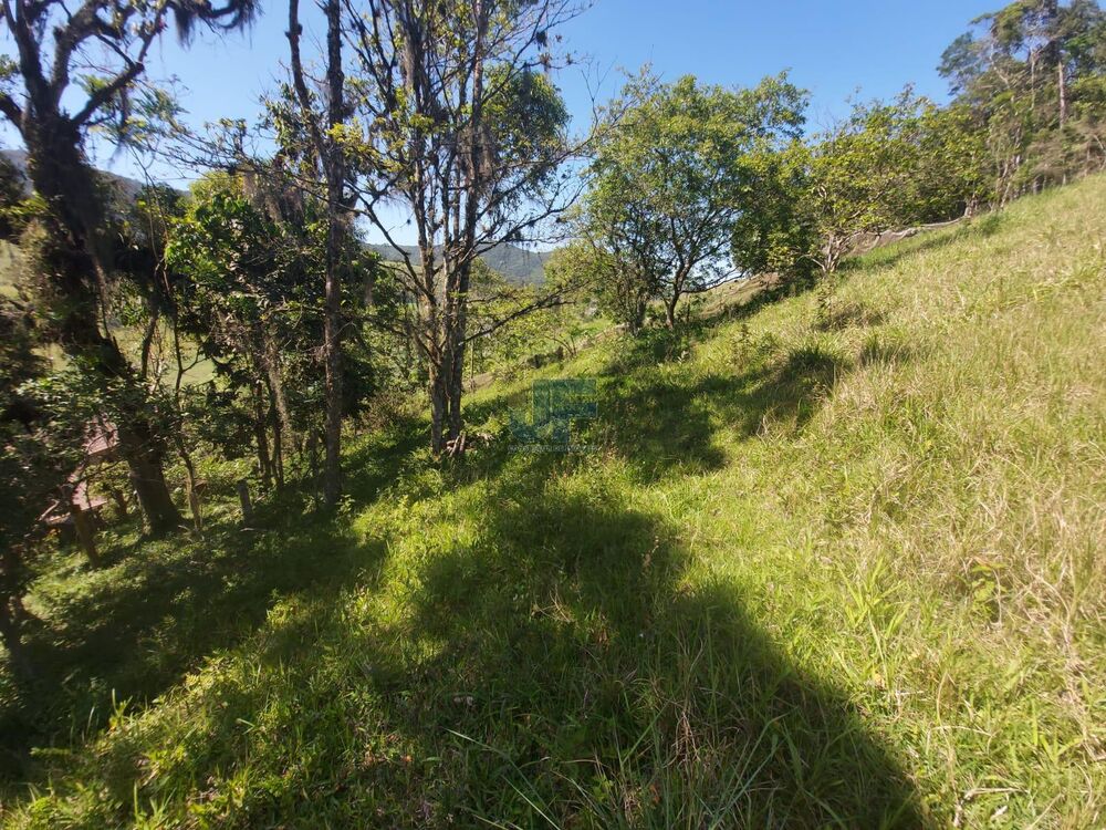 Sítio à venda com 3 quartos, 24185m² - Foto 8
