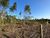 Terreno, 20 hectares - Foto 10