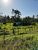 Terreno, 20 hectares - Foto 4