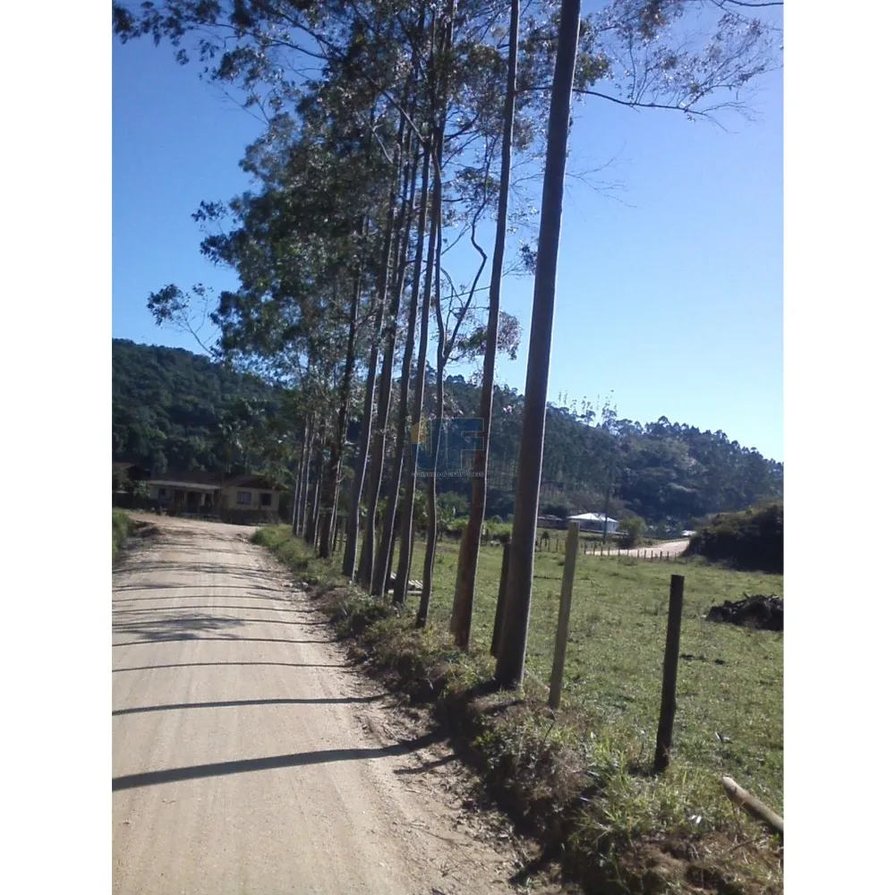 Sítio, 71 hectares - Foto 3