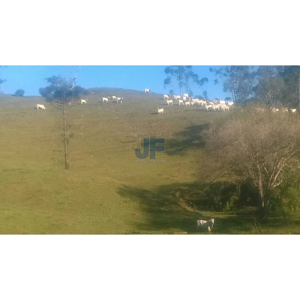 Sítio, 71 hectares - Foto 2