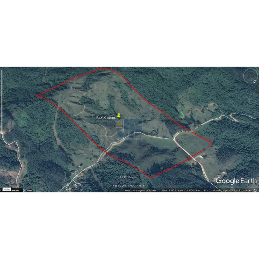 Sítio, 71 hectares - Foto 8