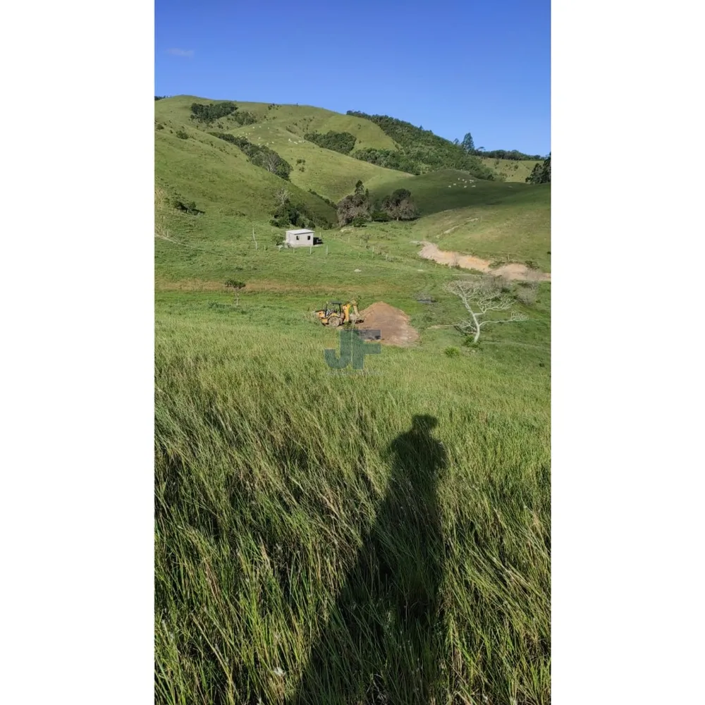Fazenda, 82 hectares - Foto 4