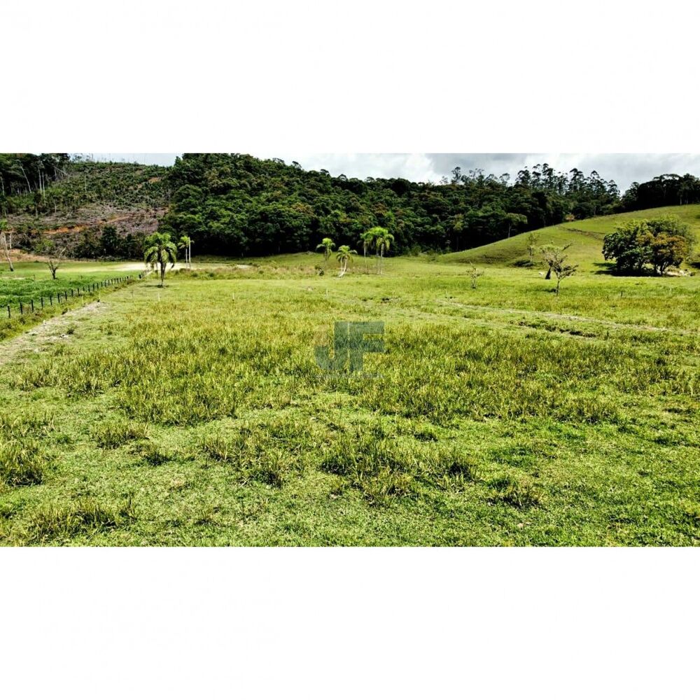 Sítio à venda com 2 quartos, 60000m² - Foto 15