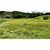 Sítio, 2 quartos, 6 hectares - Foto 15