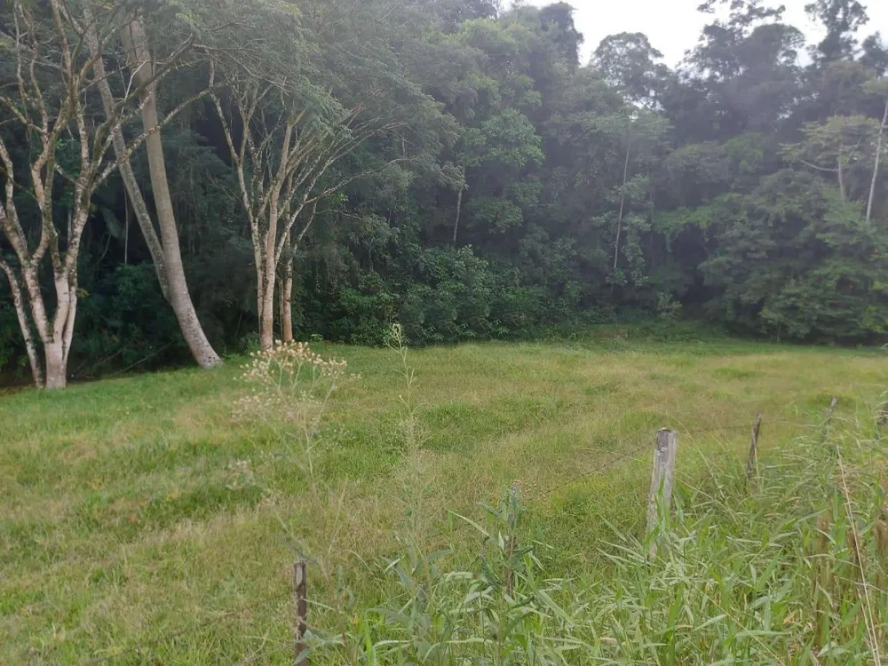 Terreno, 14 hectares - Foto 3
