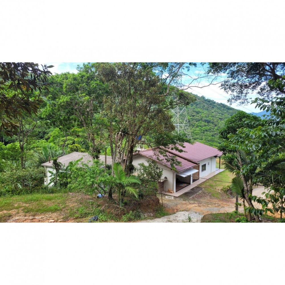 Sítio à venda com 3 quartos, 7000m² - Foto 1