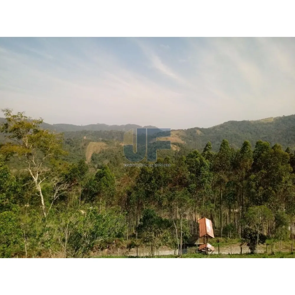 Sítio, 2 quartos, 8000 m² - Foto 5
