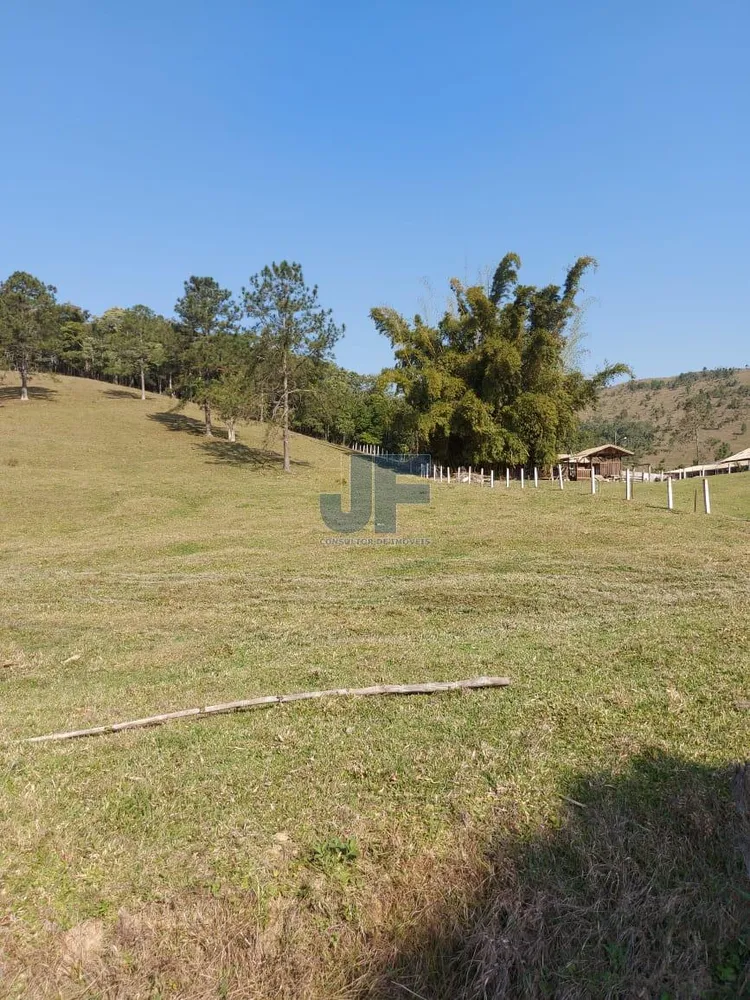 Sítio, 5 hectares - Foto 4