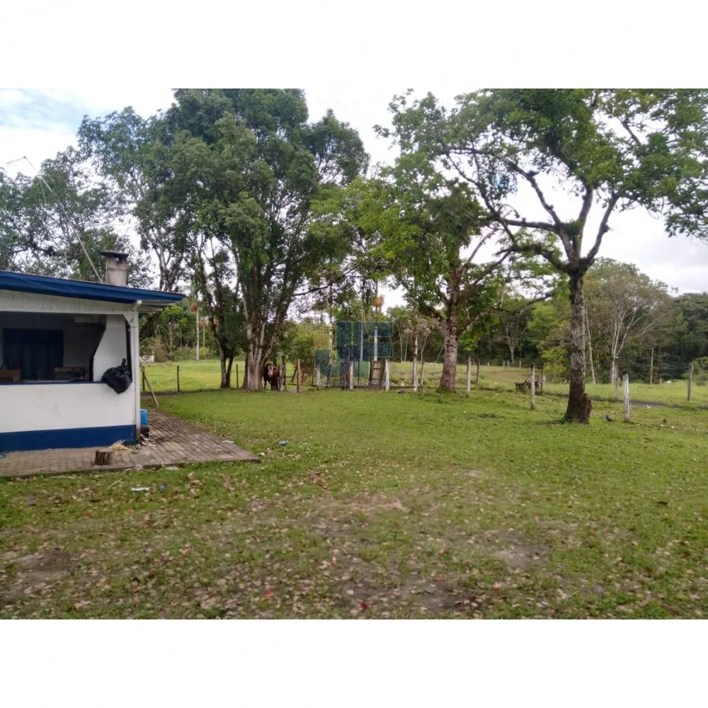 Fazenda, 62000 hectares - Foto 9